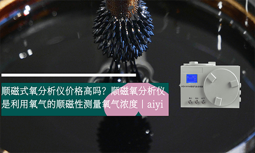 顺磁式磁力机械氧分析仪